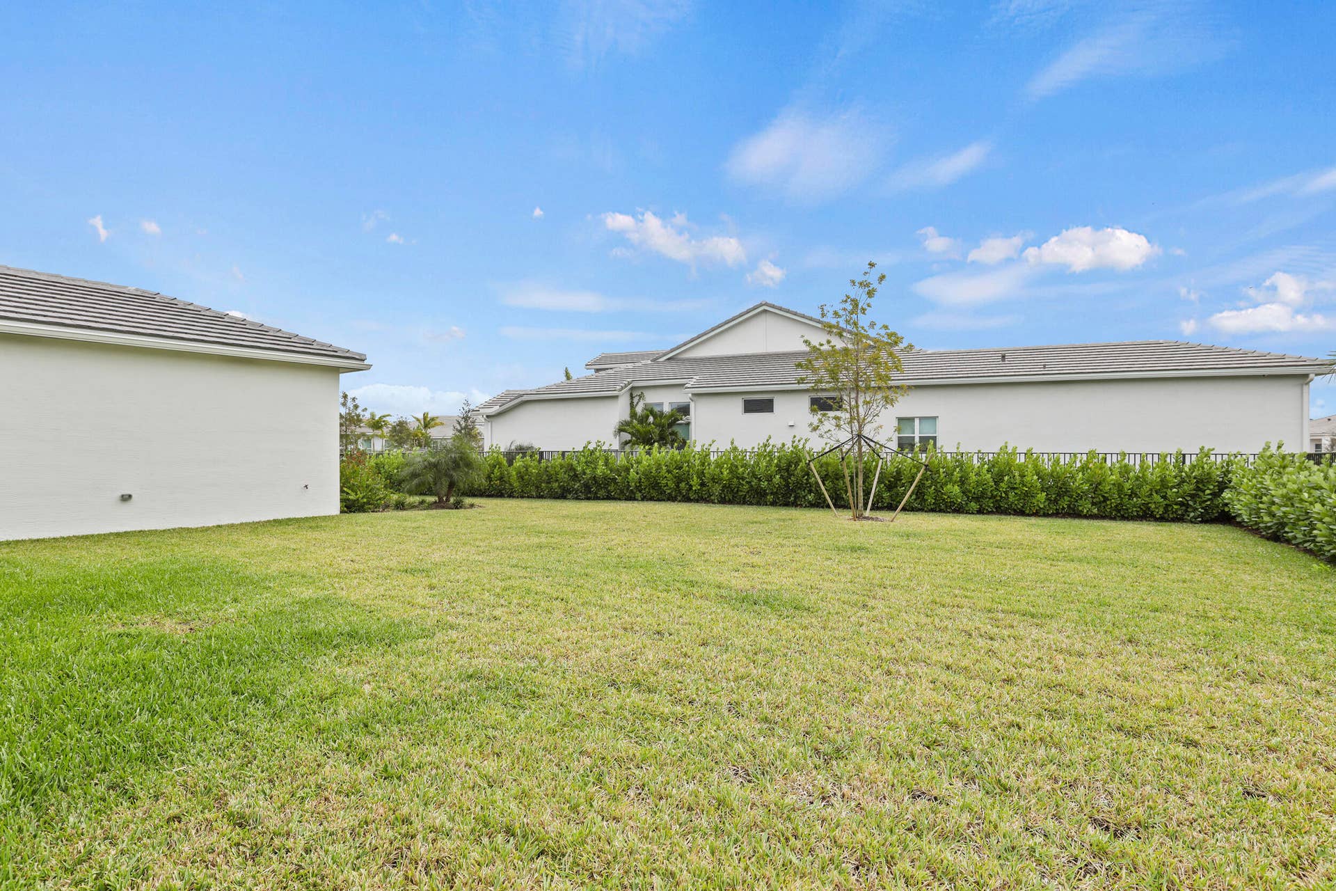 14952 Woodlot Court, Westlake, FL 33470 Outdoor Yard