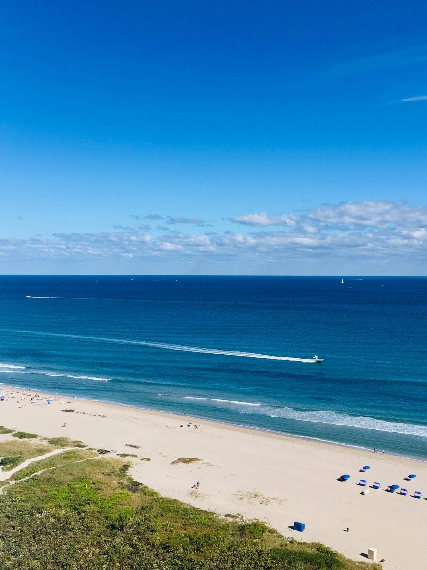 Expansive ocean vista with a sandy beach and coastal vegetation