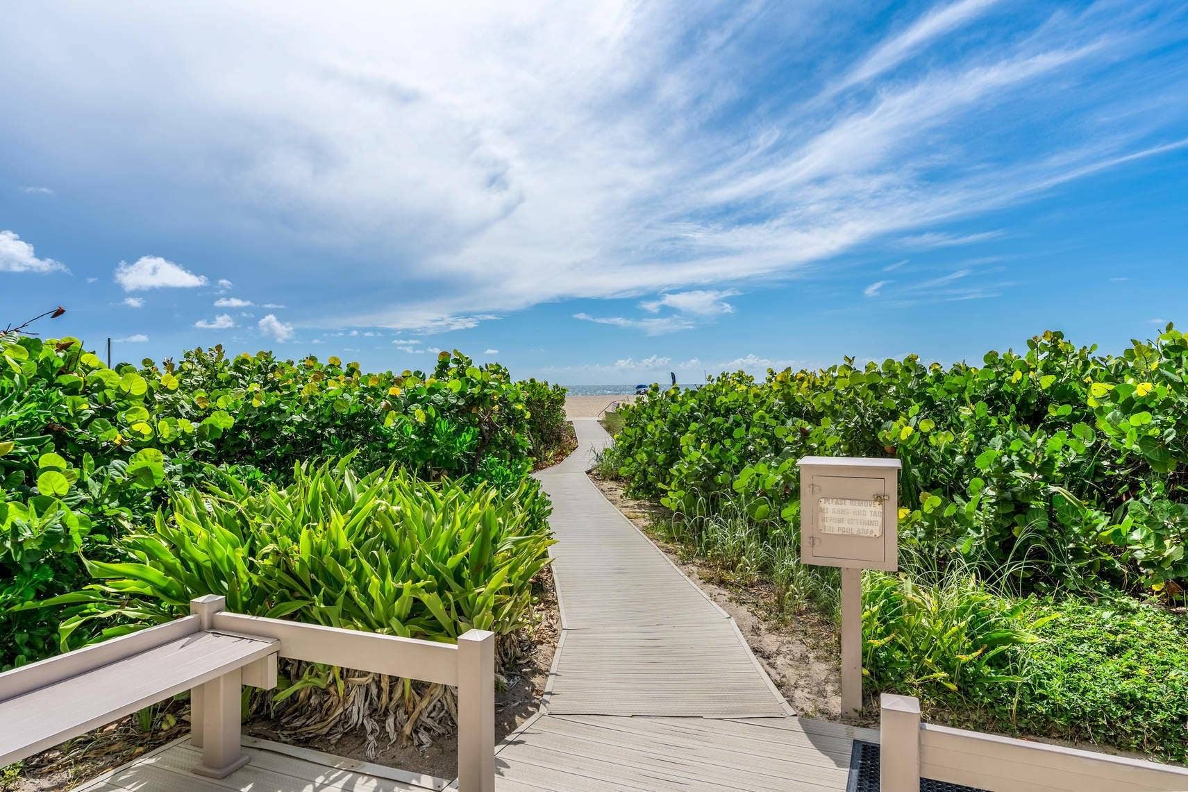 Boardwalk path surrounded by lush green foliage leading to the beach