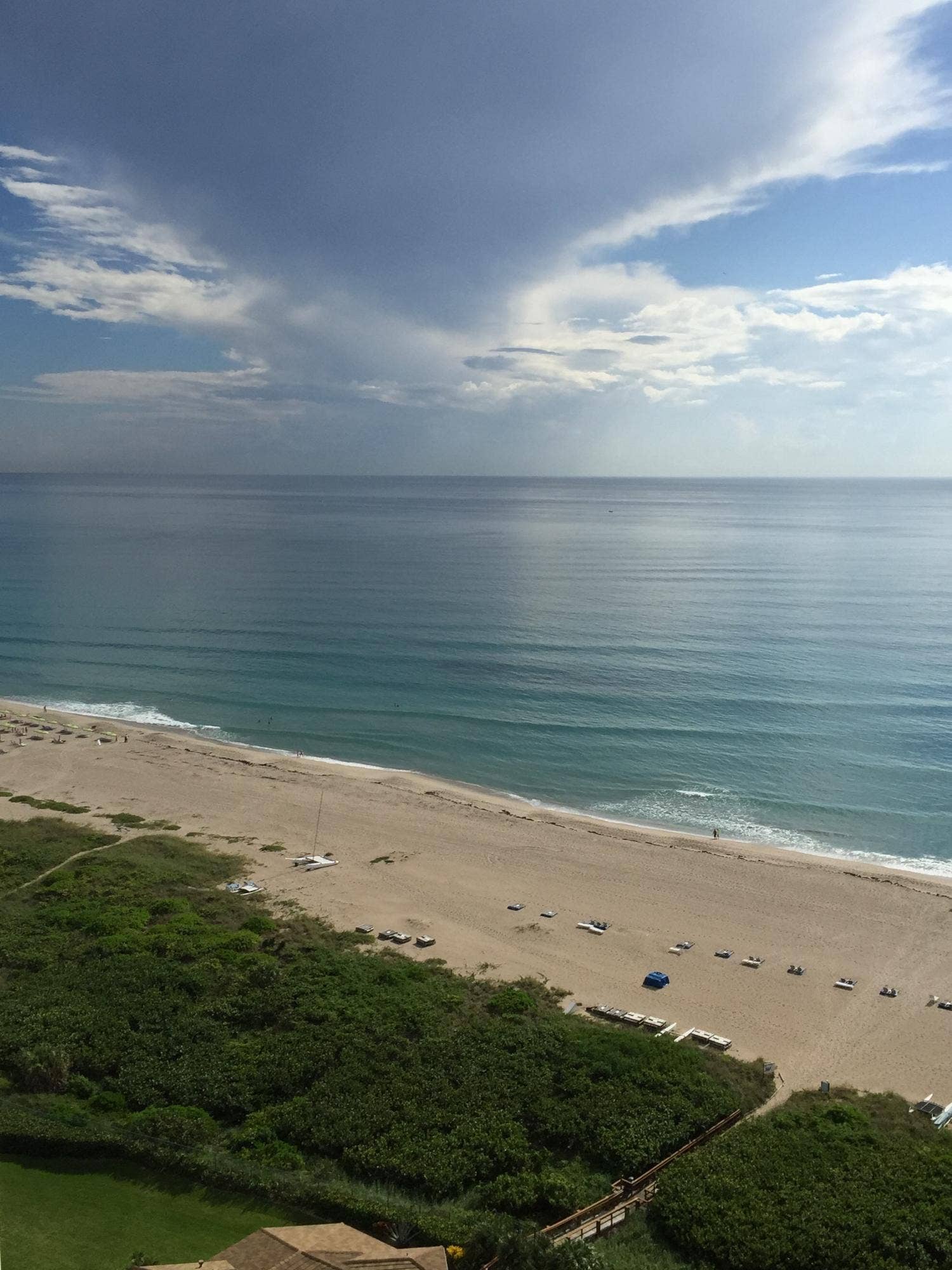 Expansive beachfront with golden sand, rolling waves, and lush coastal vegetation
