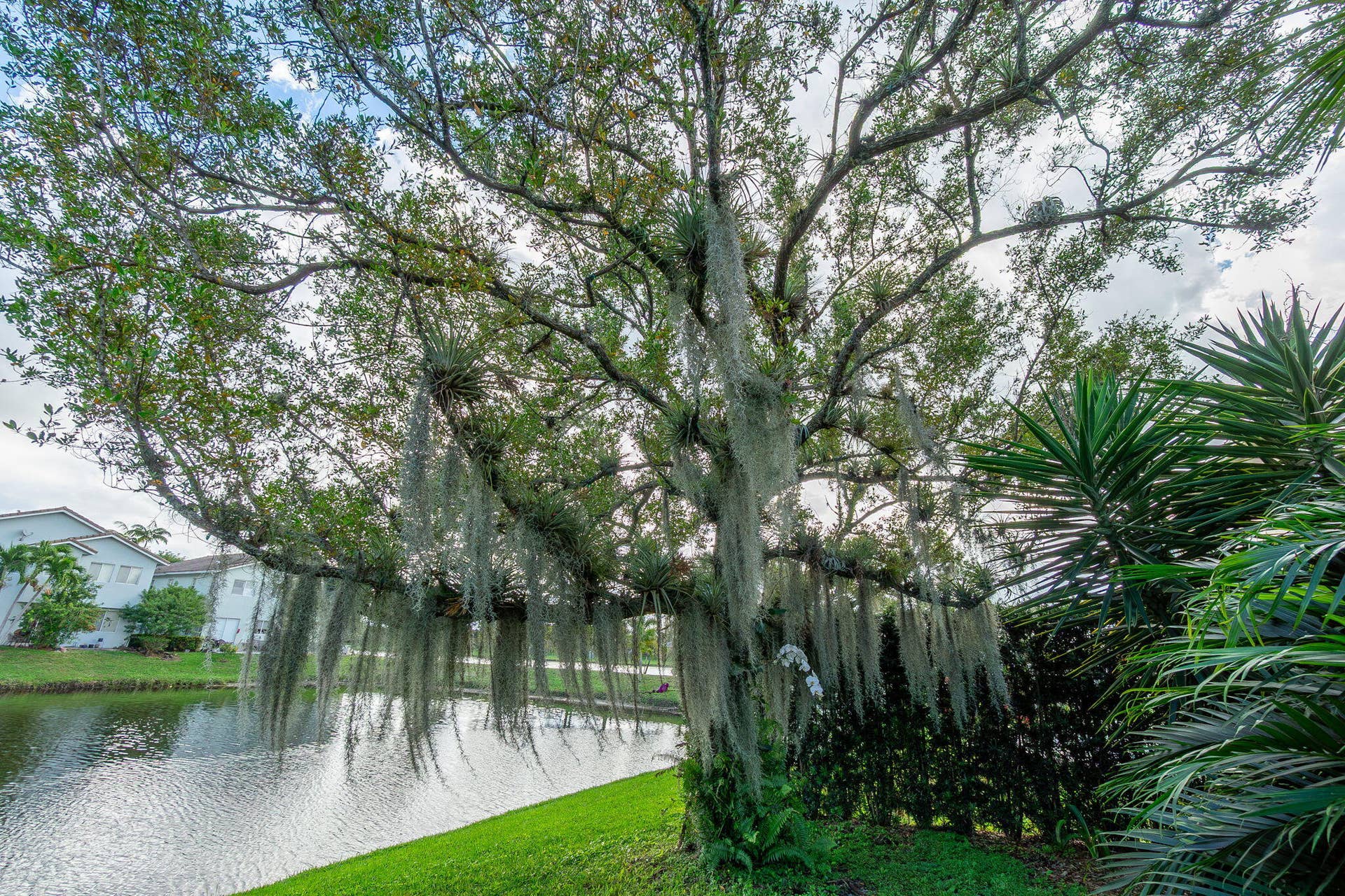 1004 Center Stone Lane, Riviera Beach, FL 33404 Backyard