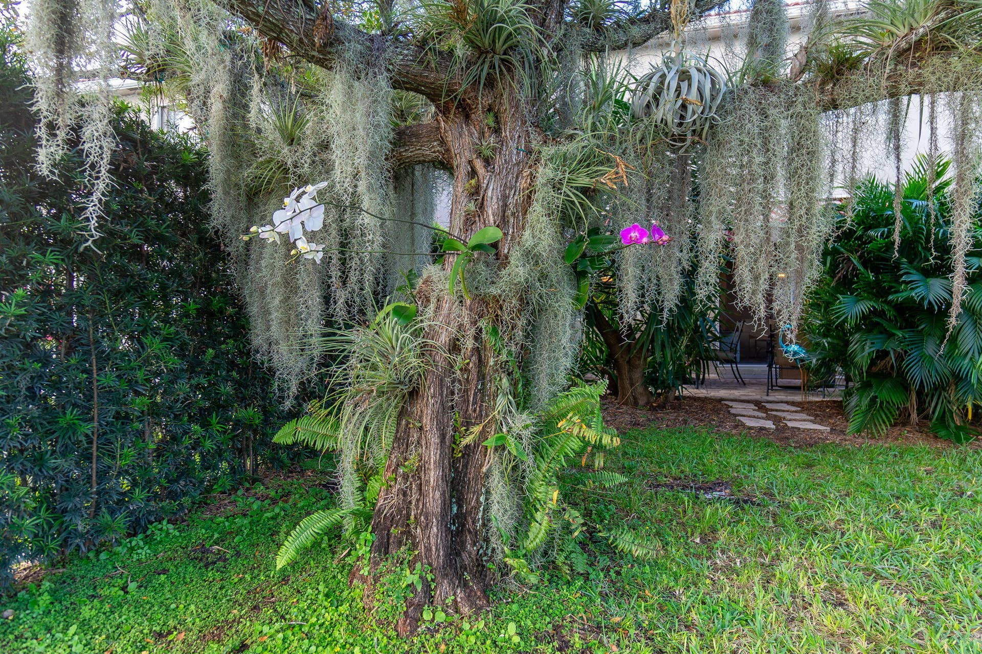 1004 Center Stone Lane, Riviera Beach, FL 33404 Backyard