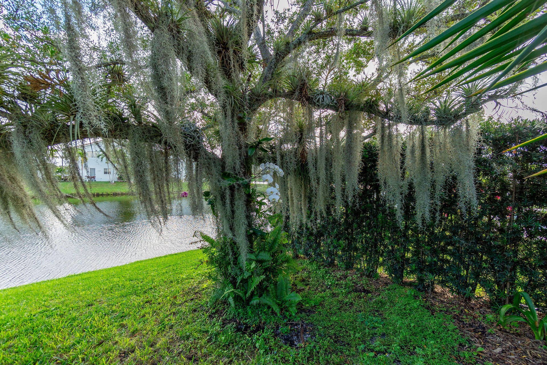 1004 Center Stone Lane, Riviera Beach, FL 33404 Backyard