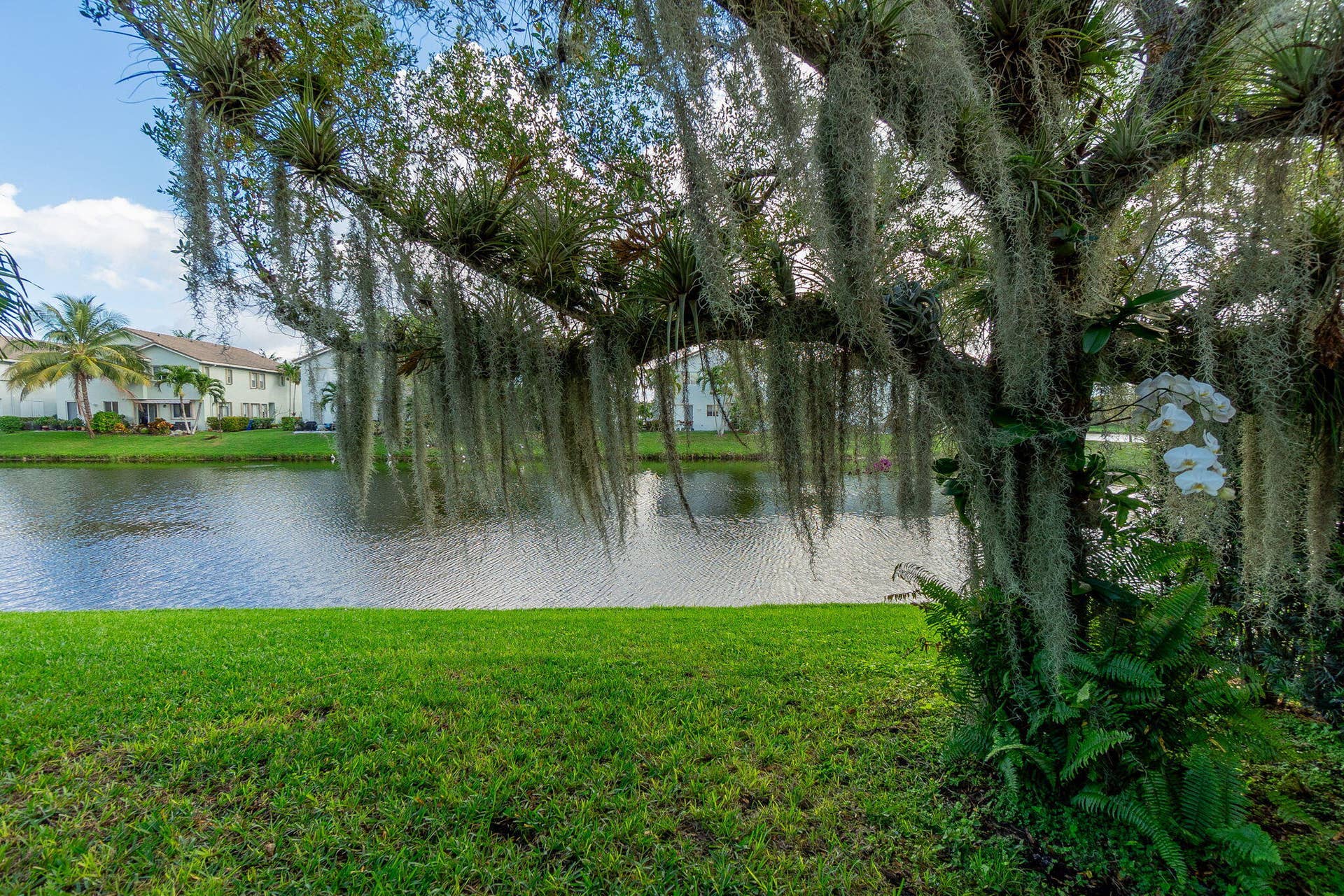 1004 Center Stone Lane, Riviera Beach, FL 33404 Backyard