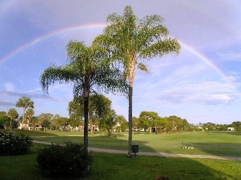 9179 SE Riverfront Terrace, #F, Jupiter, FL 33469 Landscape