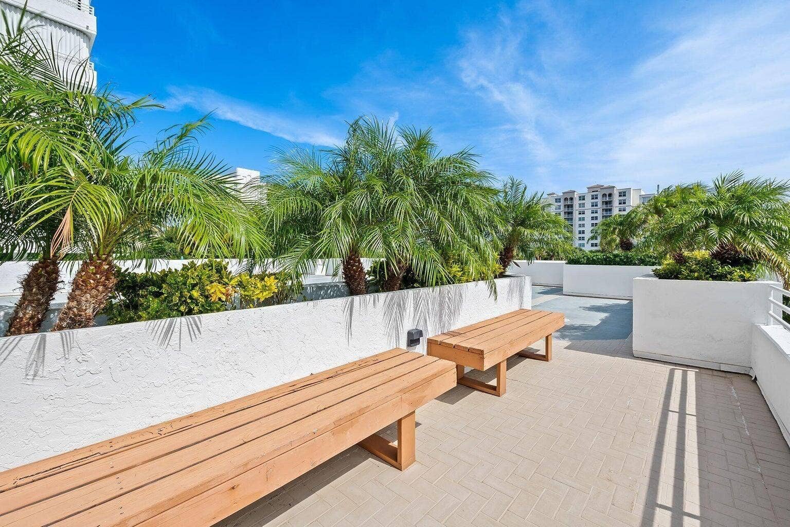 Casuarina 4