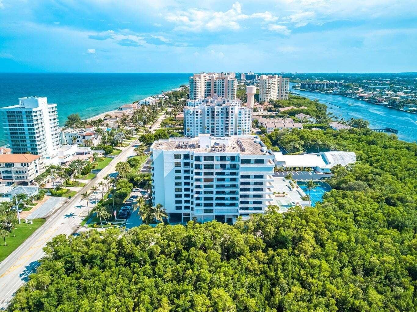 Casuarina aerial 4
