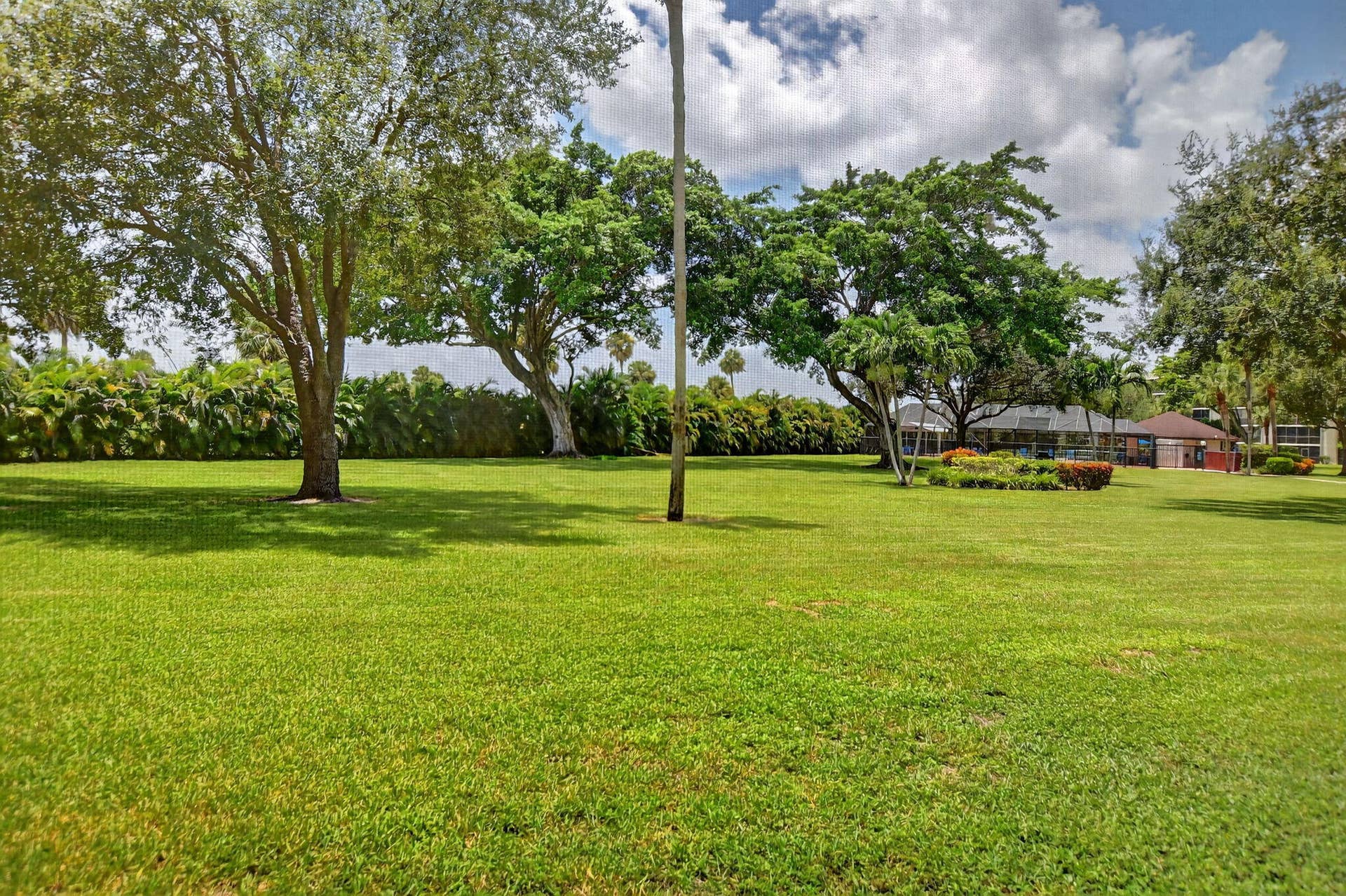 View from patio