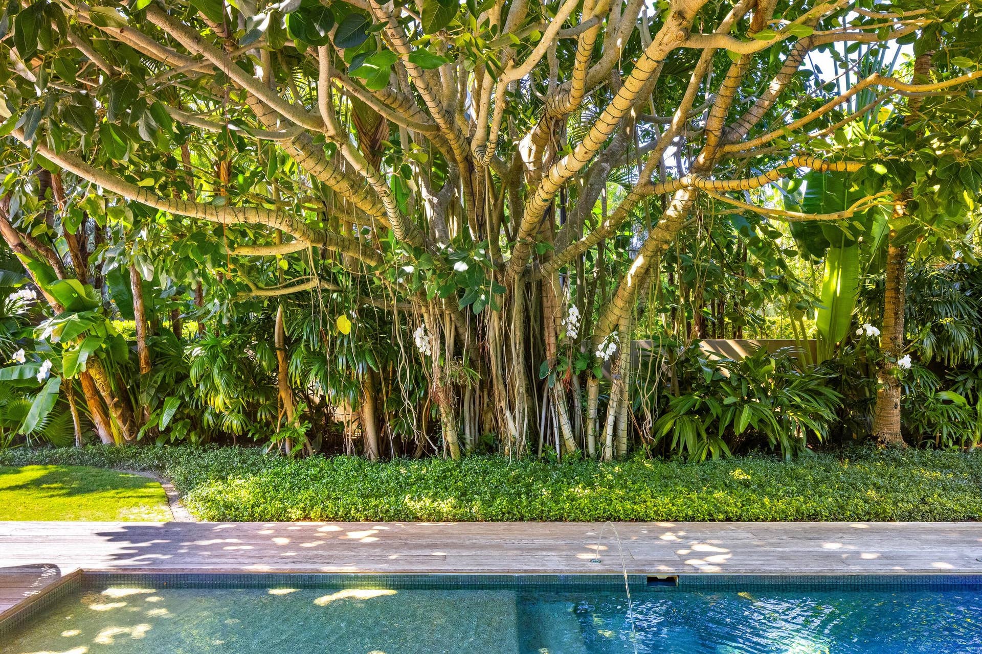 195 Via Marina, Palm Beach, FL 33480 Pool