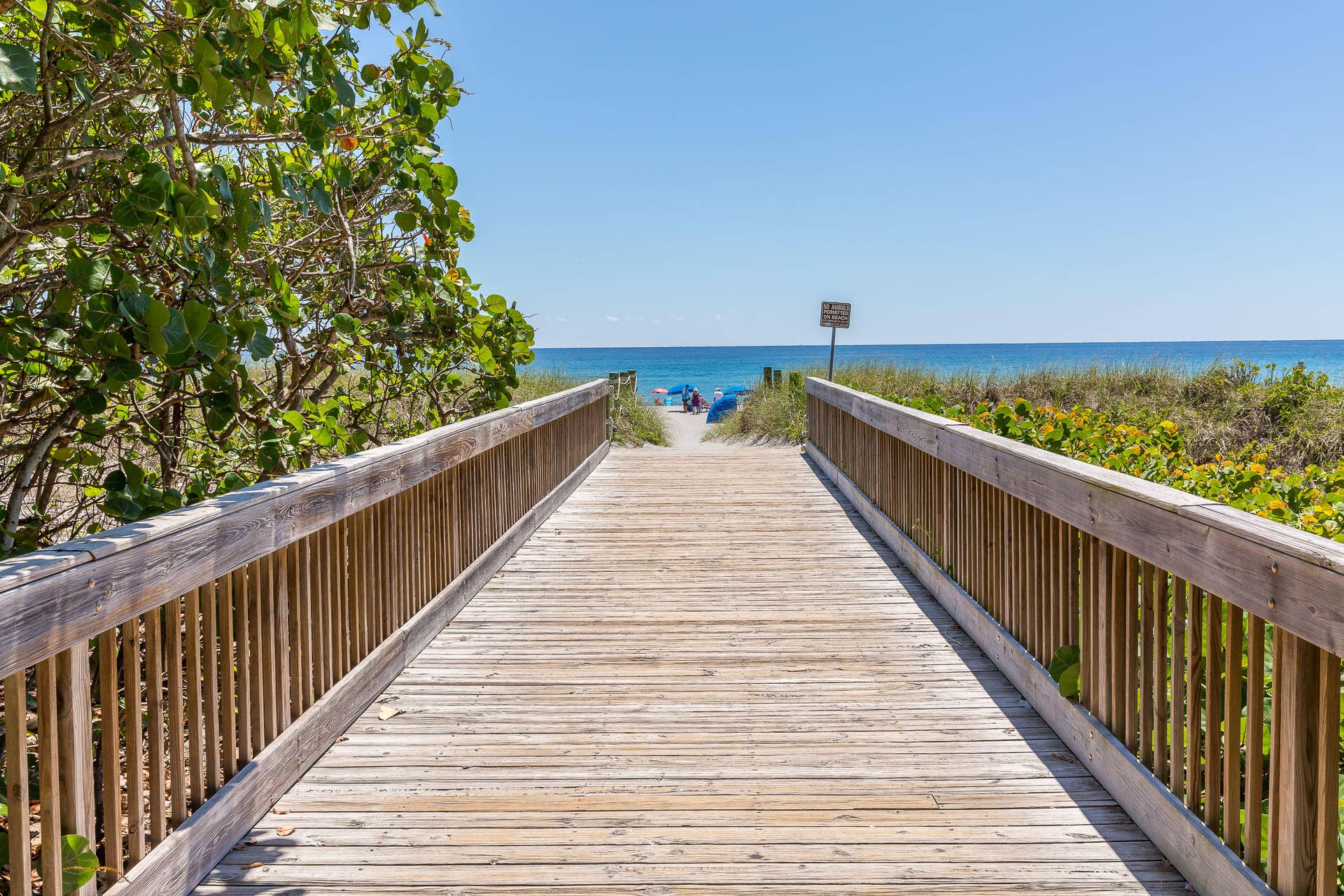2455 Lindell Boulevard, #3304, Delray Beach, Delray Beach, FL 33444 9K8A7359