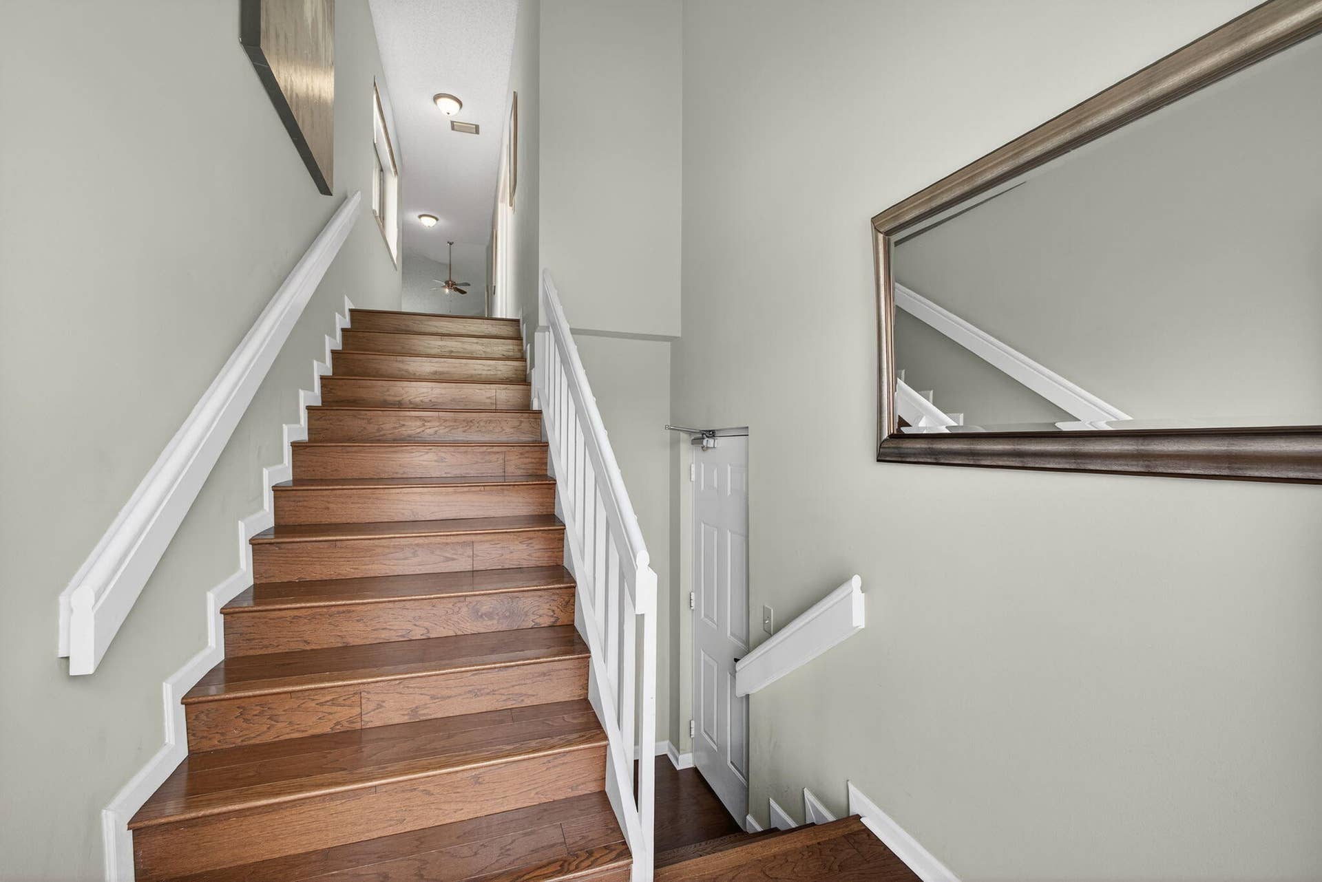 8-web-or-mls-5D1A1288