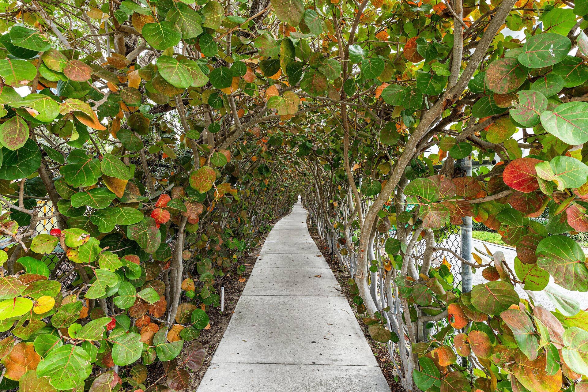 100 Bravado Lane, #2, Palm Beach Shores, FL 33404 100 Bravado Lane, #2, Palm Beach Shores, FL 33404