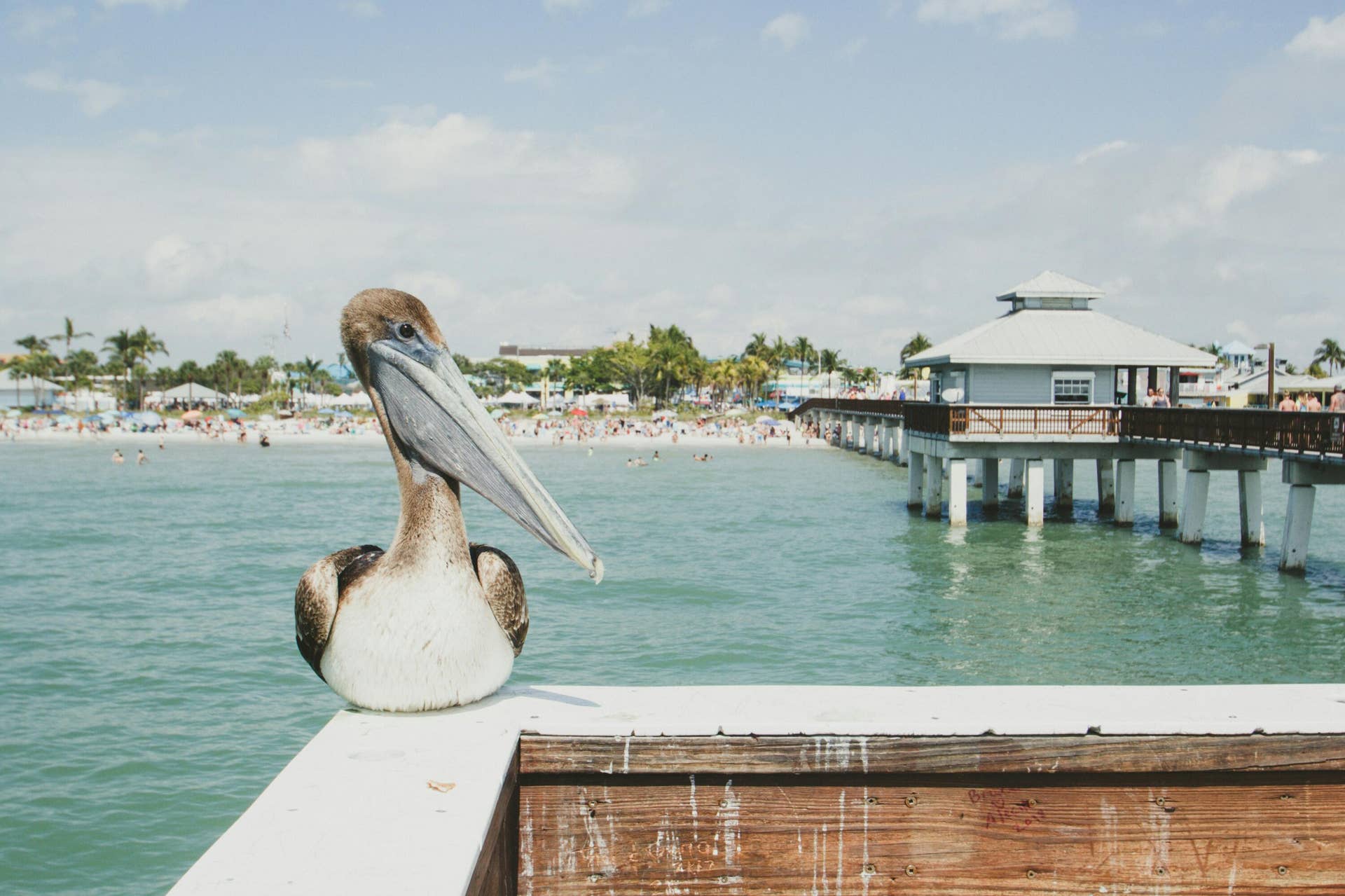 SoFl Lifestyle
