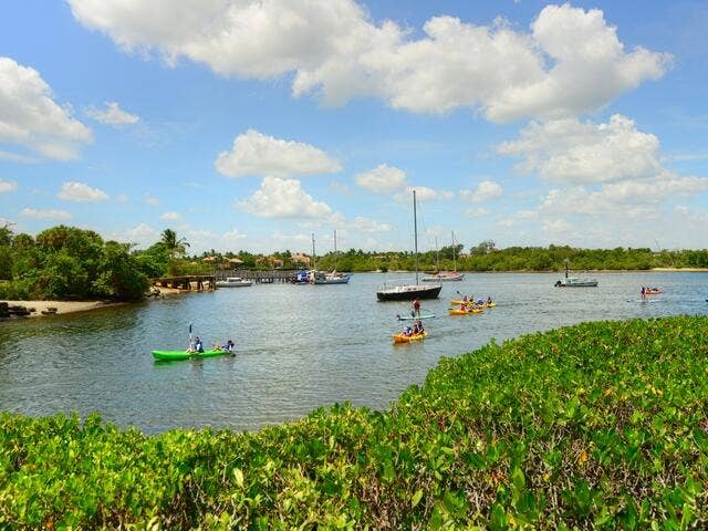 Paddleboarding & Kayaking