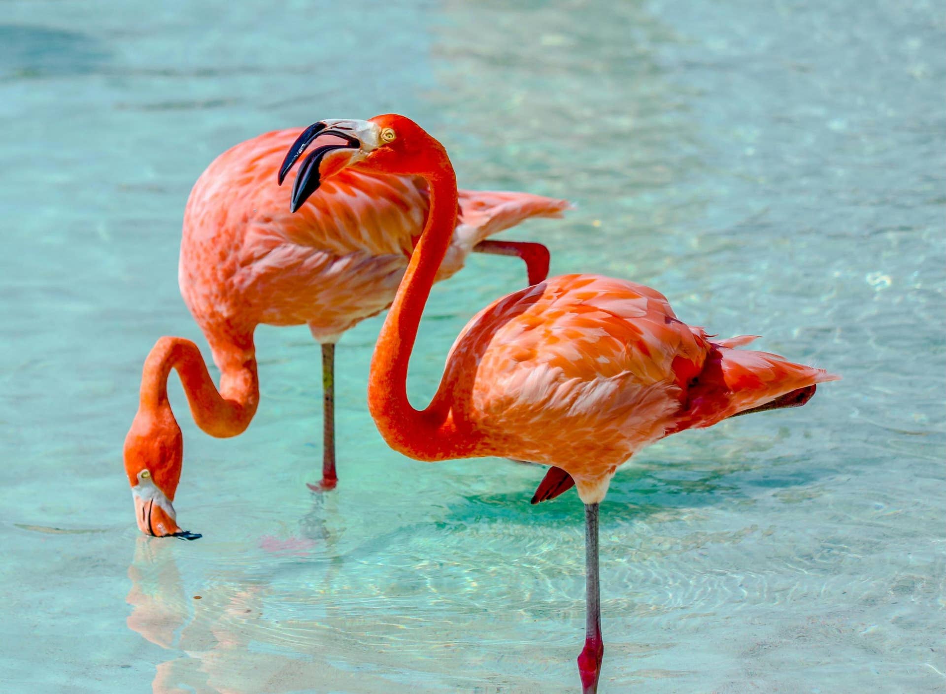 2801 Embassy Drive, West Palm Beach, FL 33401 Palm Beach Zoo