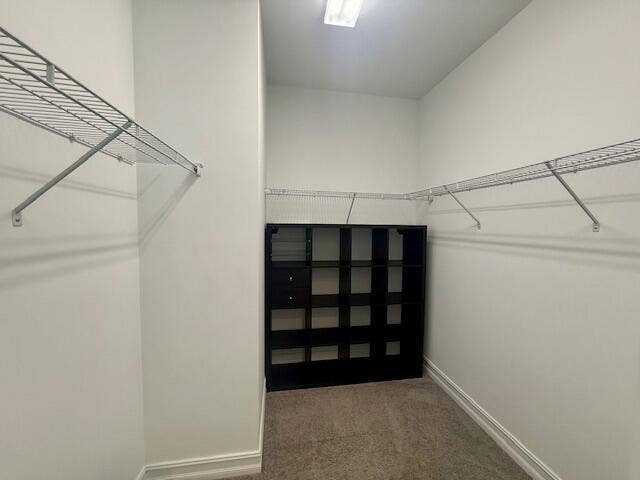 Huge walk in closet