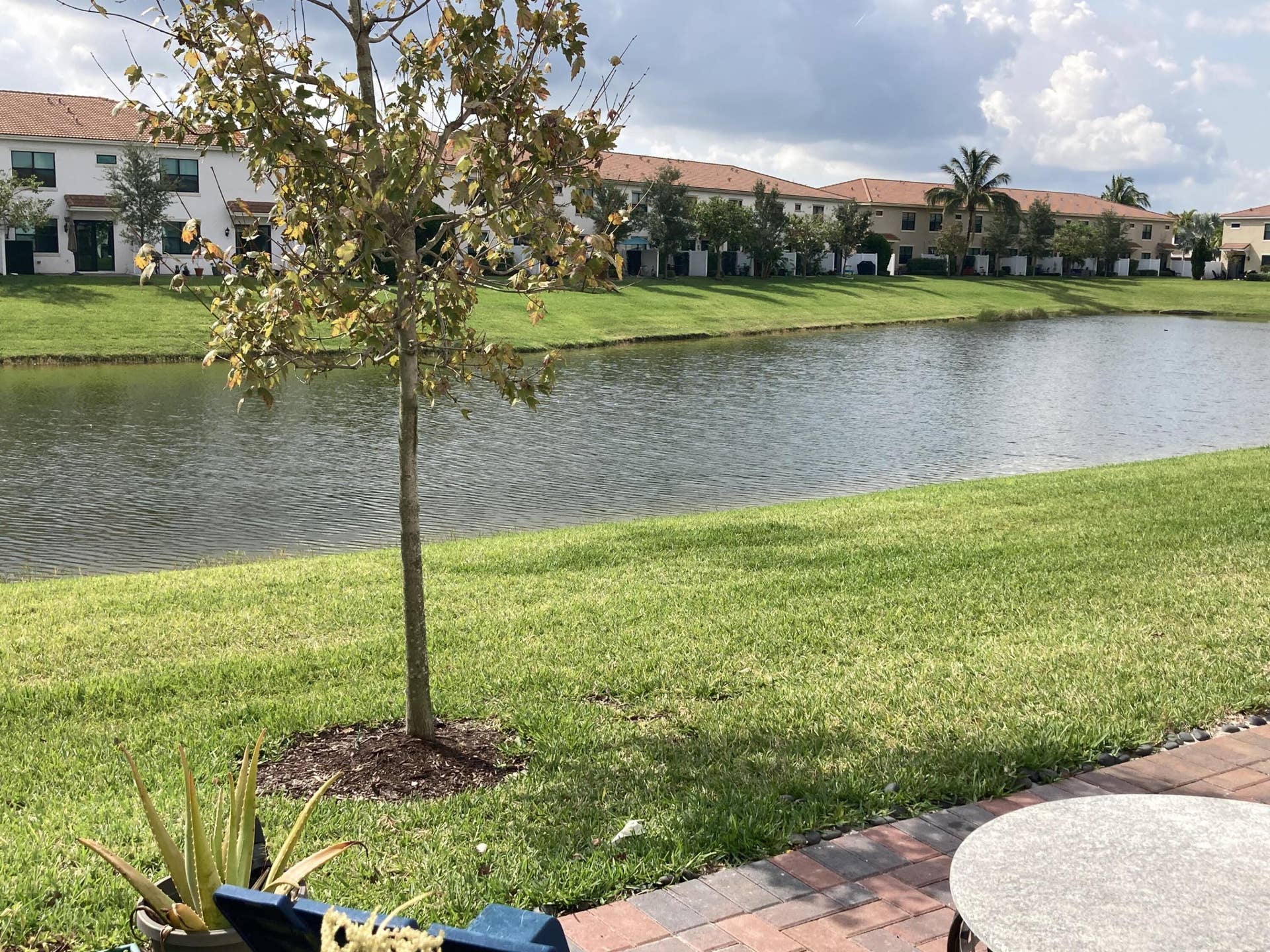 Waterfront