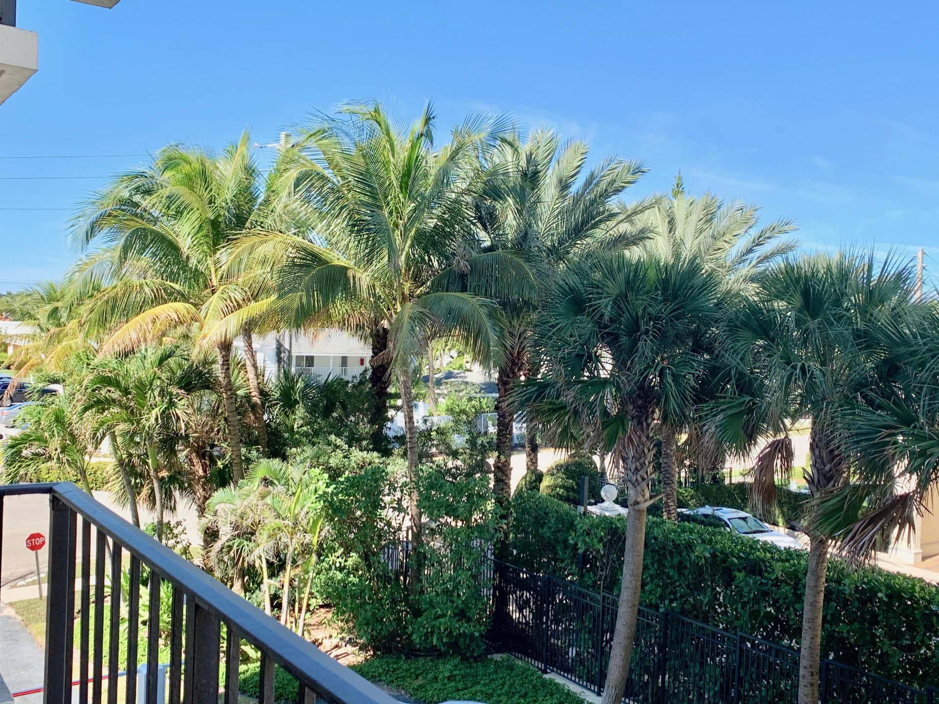 145 Ocean Avenue, #303, Palm Beach Shores, Palm Beach Shores, FL 33404 PALM TREED STREET PB SHORES