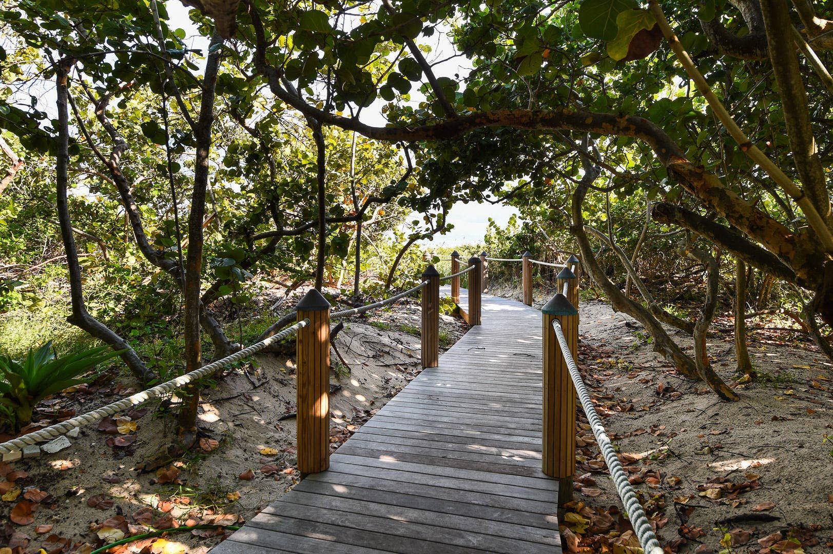 145 Ocean Avenue, #303, Palm Beach Shores, Palm Beach Shores, FL 33404 SHADED PATHWAY TO BEACH