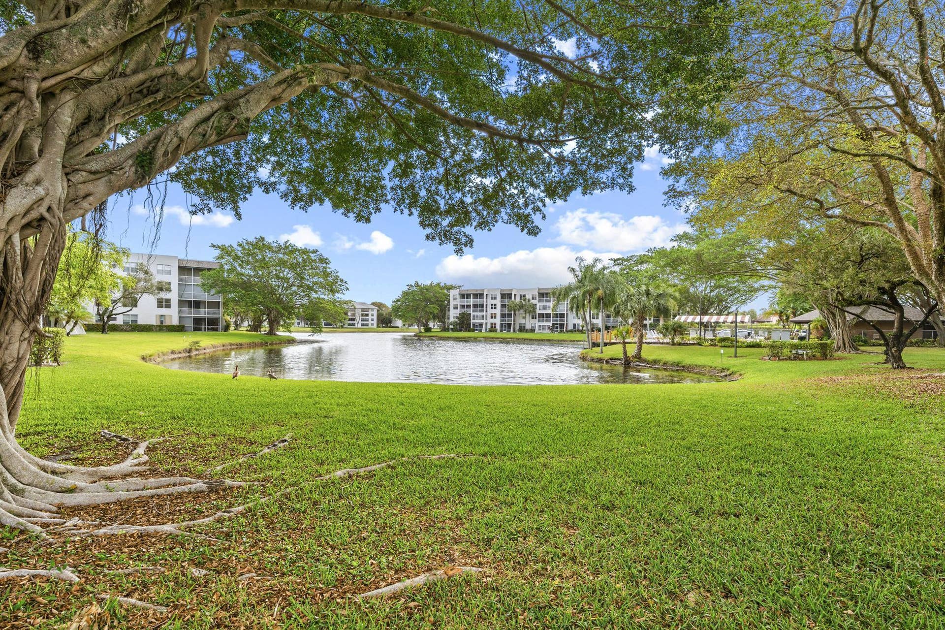 9340 Lagoon Place, #206, Davie, FL 33324 photography-result-24
