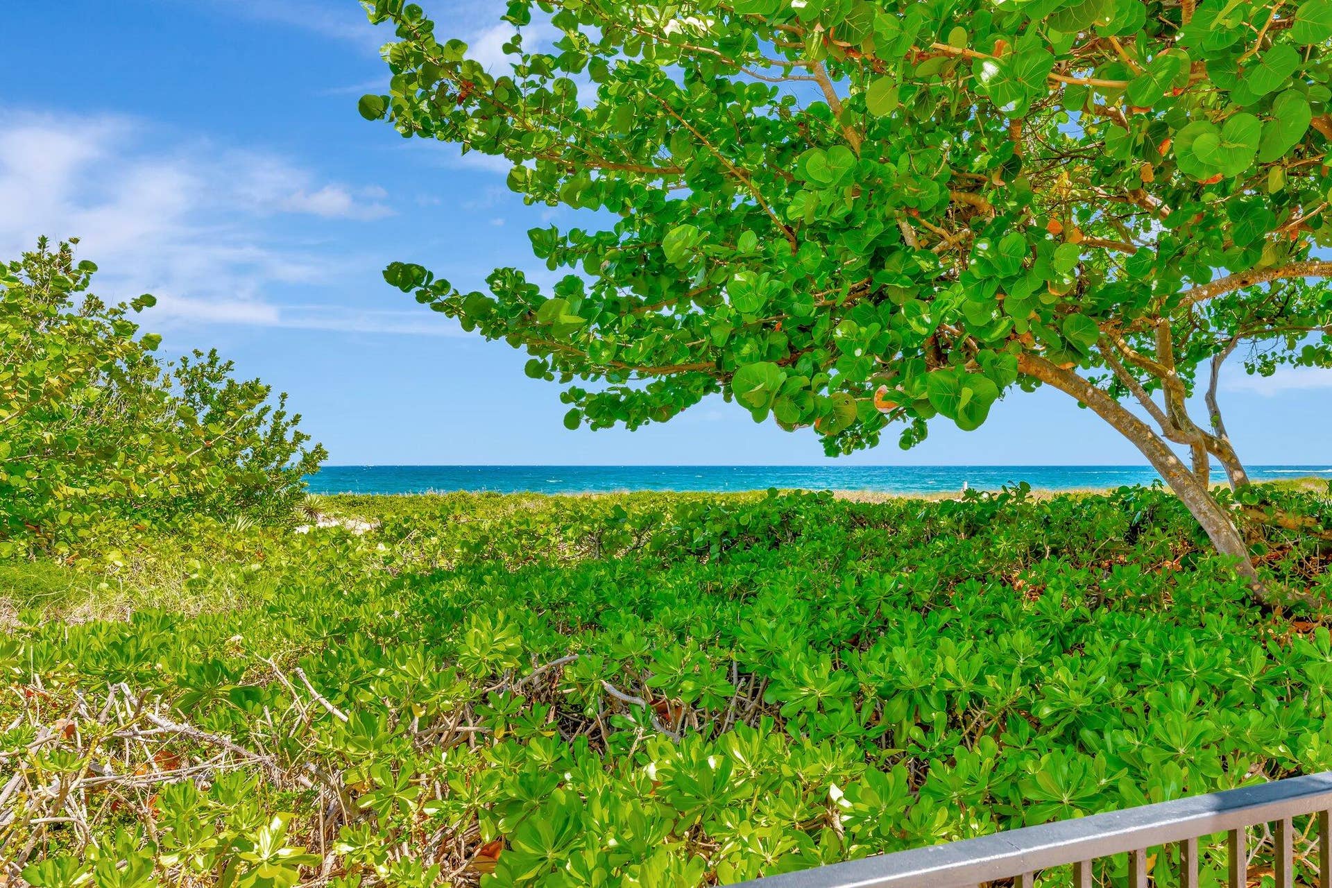 1900 S Ocean Boulevard, #8g, Lauderdale-By-The-Sea, Lauderdale By The Sea, FL 33062