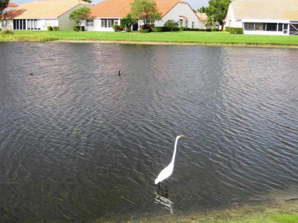 15355 Lake Wisteria Road, Delray Beach, Delray Beach, FL 33484