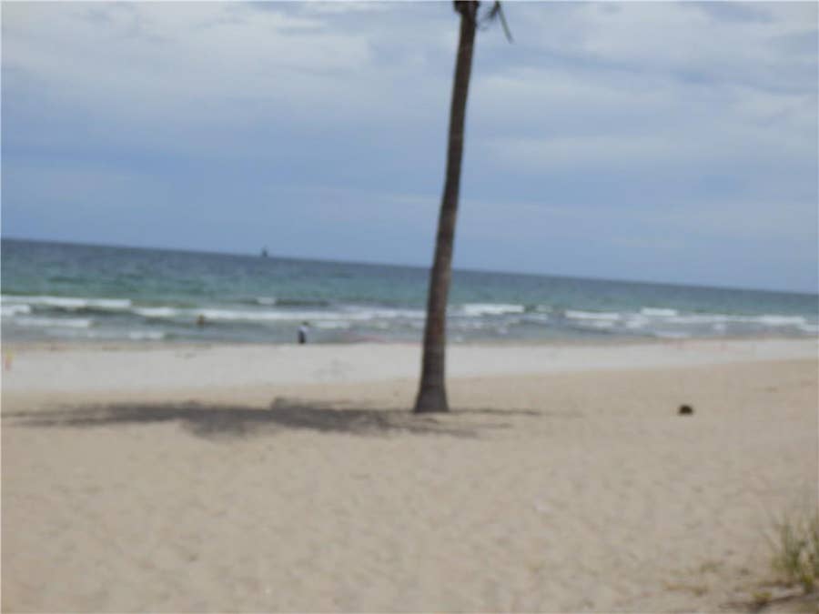 Property photo for 520 Orton Ave, #104, Fort Lauderdale, FL