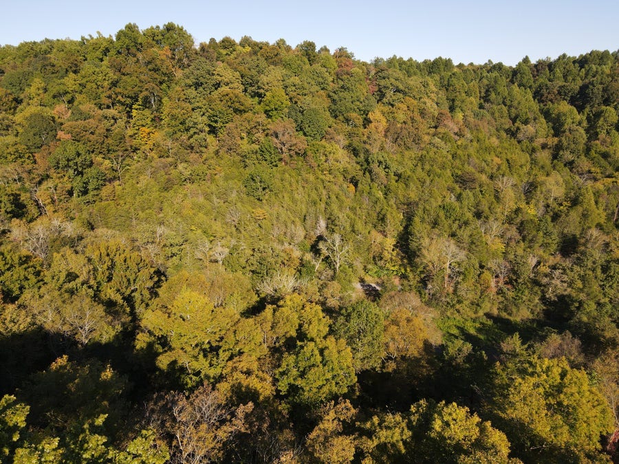 Property photo for 0 Cole Ridge Rd, Manchester, TN