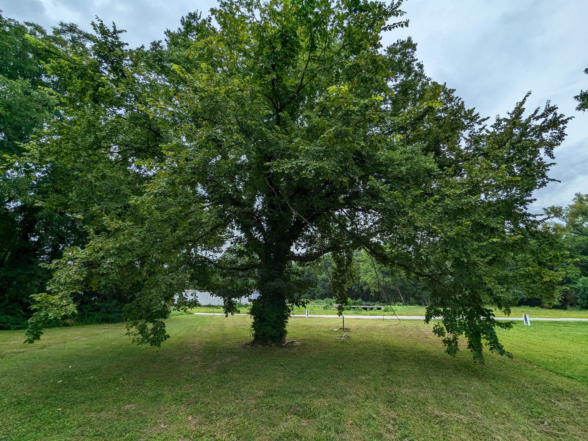 212 Boswell St, Mount Pleasant, TN 38474 212 Boswell St, Mount Pleasant, TN 38474