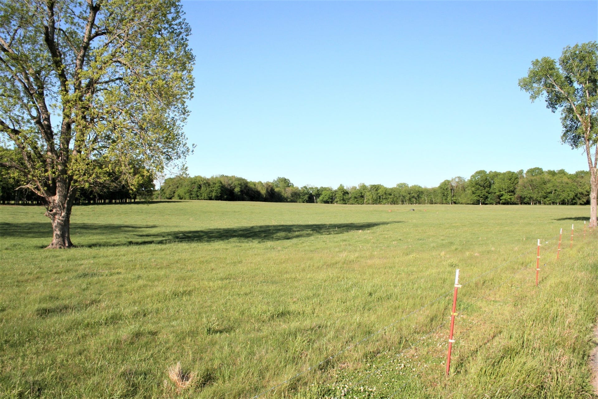0 Wallace Thompson Road, Lewisburg, TN 37091 0 Wallace Thompson Road, Lewisburg, TN 37091