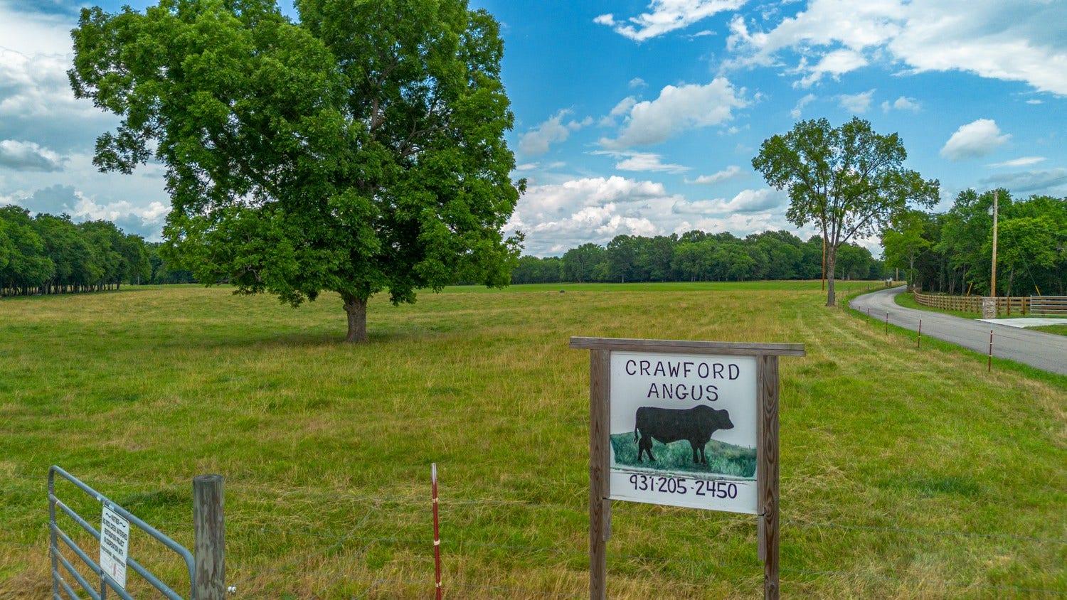 0 Wallace Thompson Road, Lewisburg, TN 37091 0 Wallace Thompson Road, Lewisburg, TN 37091