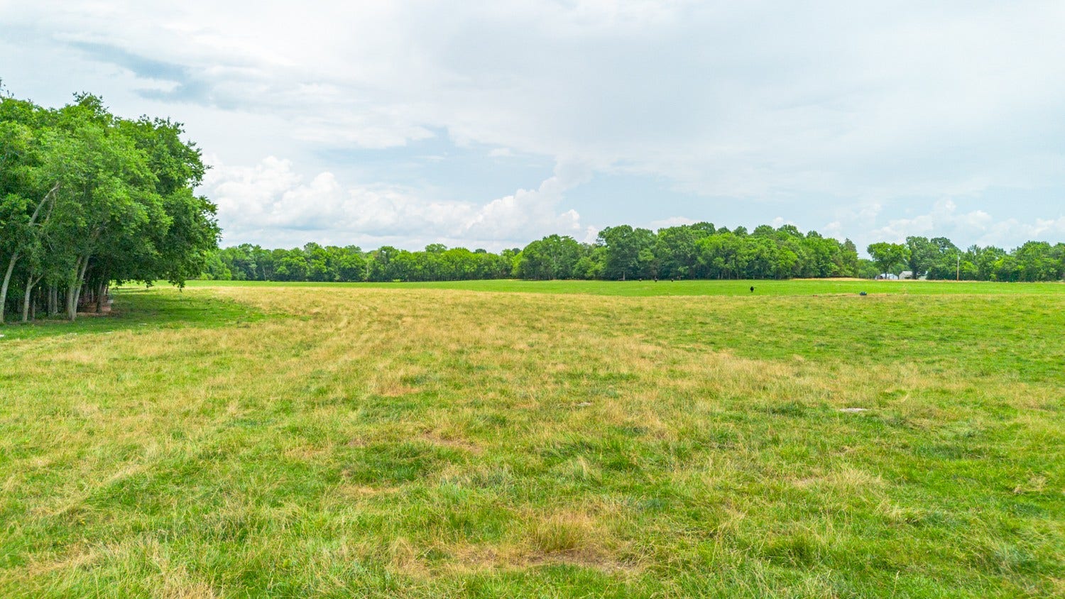 0 Wallace Thompson Road, Lewisburg, TN 37091 0 Wallace Thompson Road, Lewisburg, TN 37091