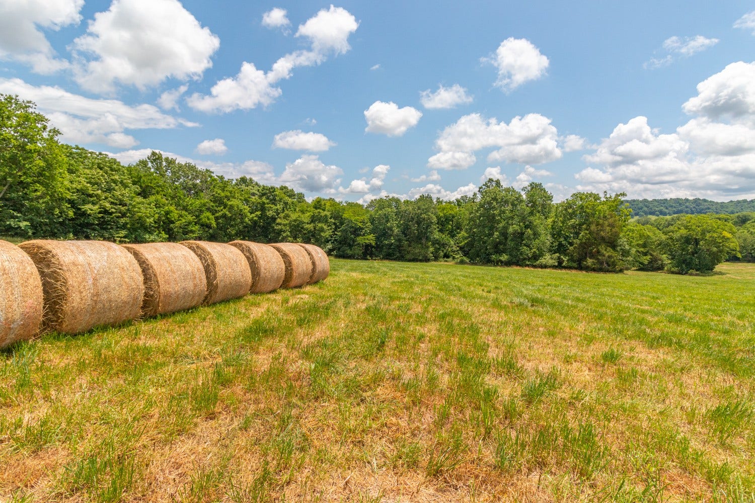 0 Wallace Thompson Road, Lewisburg, TN 37091 0 Wallace Thompson Road, Lewisburg, TN 37091