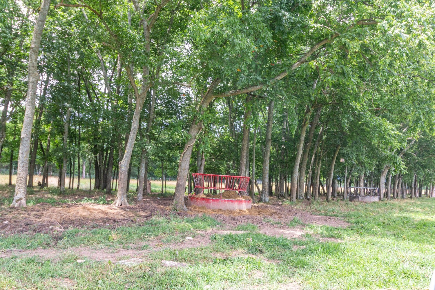 0 Wallace Thompson Road, Lewisburg, TN 37091 0 Wallace Thompson Road, Lewisburg, TN 37091