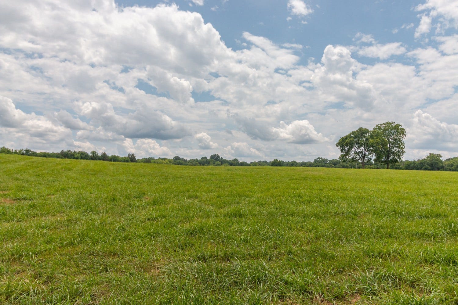 0 Wallace Thompson Road, Lewisburg, TN 37091 0 Wallace Thompson Road, Lewisburg, TN 37091