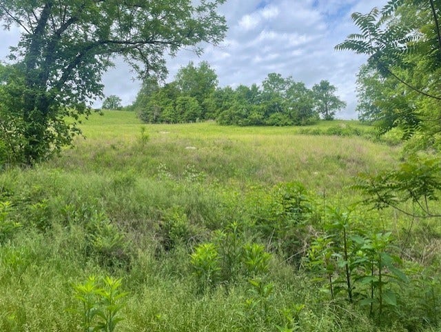 0 HILLTOP ROAD, Shelbyville, TN 37160 0 HILLTOP ROAD, Shelbyville, TN 37160