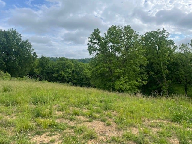 0 HILLTOP ROAD, Shelbyville, TN 37160 0 HILLTOP ROAD, Shelbyville, TN 37160