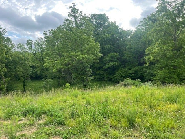0 HILLTOP ROAD, Shelbyville, TN 37160 0 HILLTOP ROAD, Shelbyville, TN 37160
