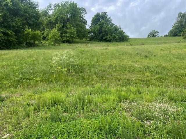 0 HILLTOP ROAD, Shelbyville, TN 37160 0 HILLTOP ROAD, Shelbyville, TN 37160