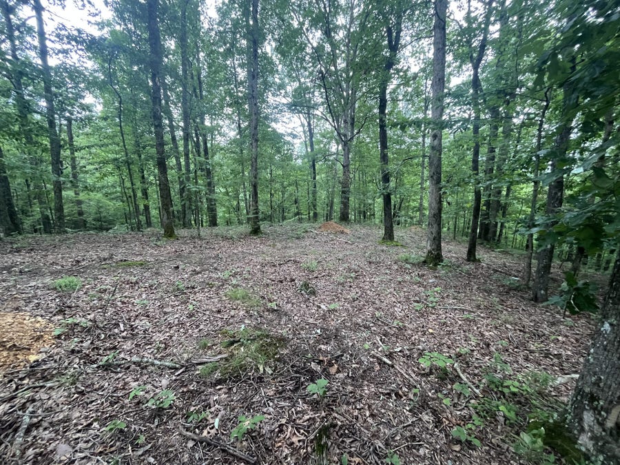 Property photo for 0 New Lawrenceburg Hwy, Mount Pleasant, TN
