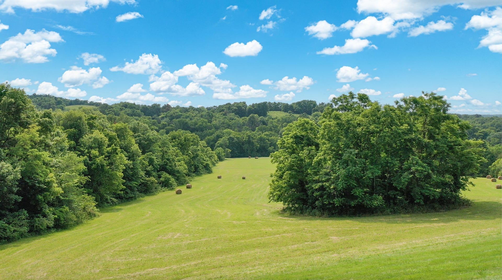 119 Crestland Circle, Shelbyville, TN 37160 119 Crestland Circle, Shelbyville, TN 37160
