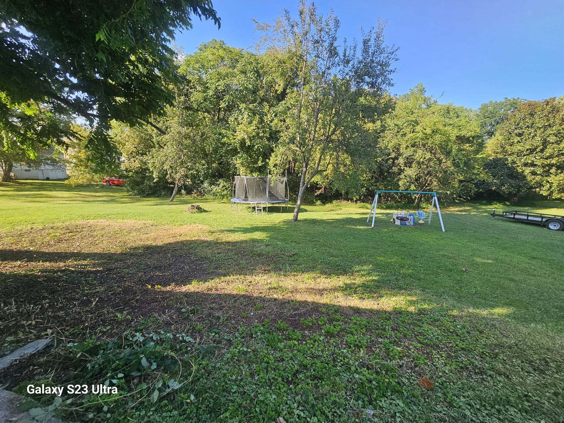 218 Garfield St, McMinnville, TN 37110 Large back yard with mature black walnut trees and mulberry bushes.