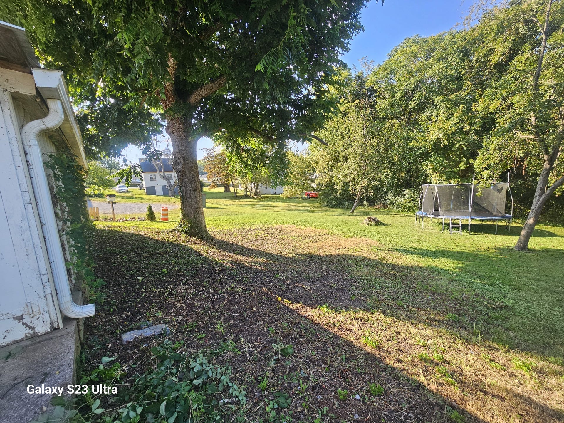 218 Garfield St, McMinnville, TN 37110 Back yard
