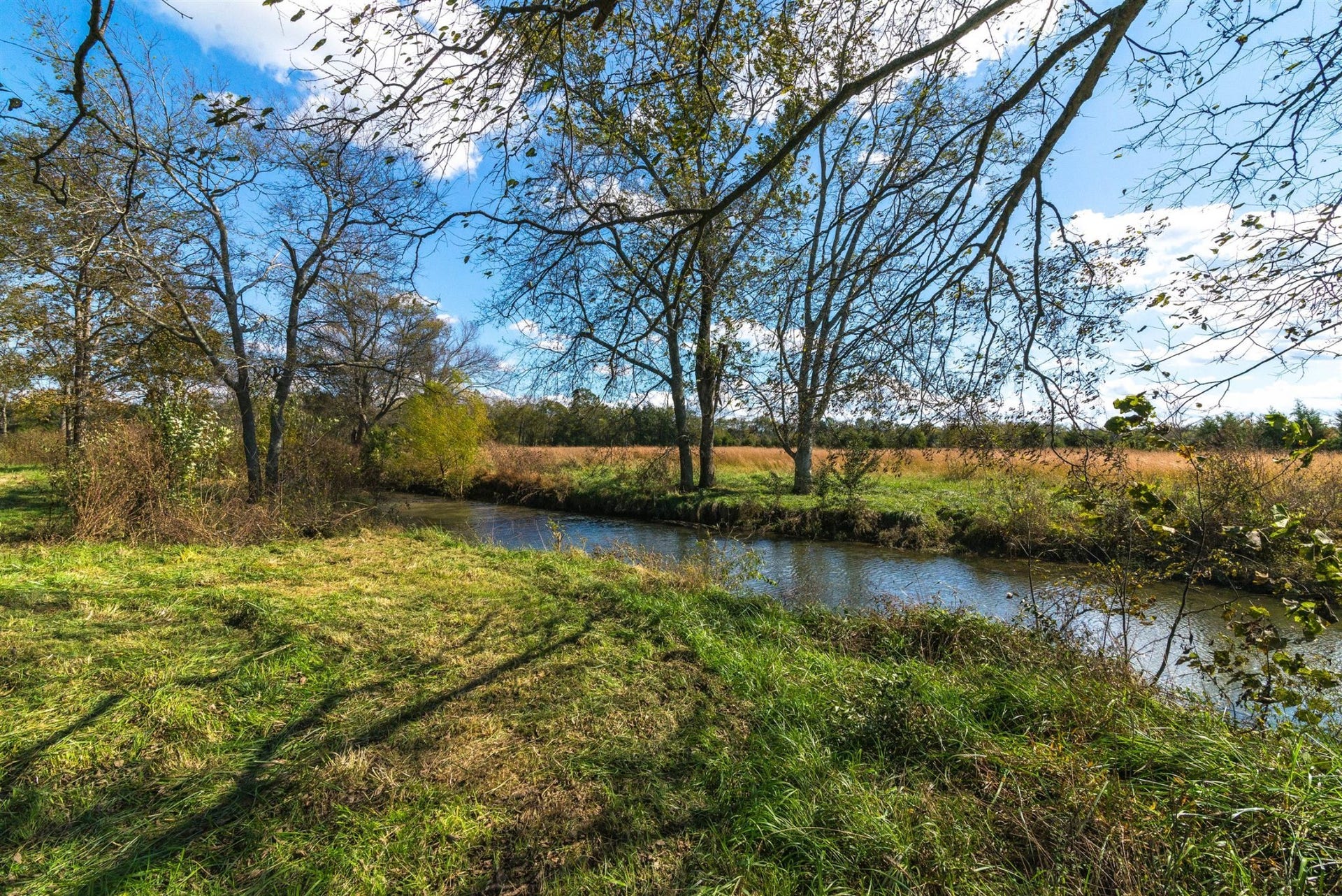3124 Highway 231 North N, Shelbyville, TN 37160 Year Around Creek runs through the back pasture