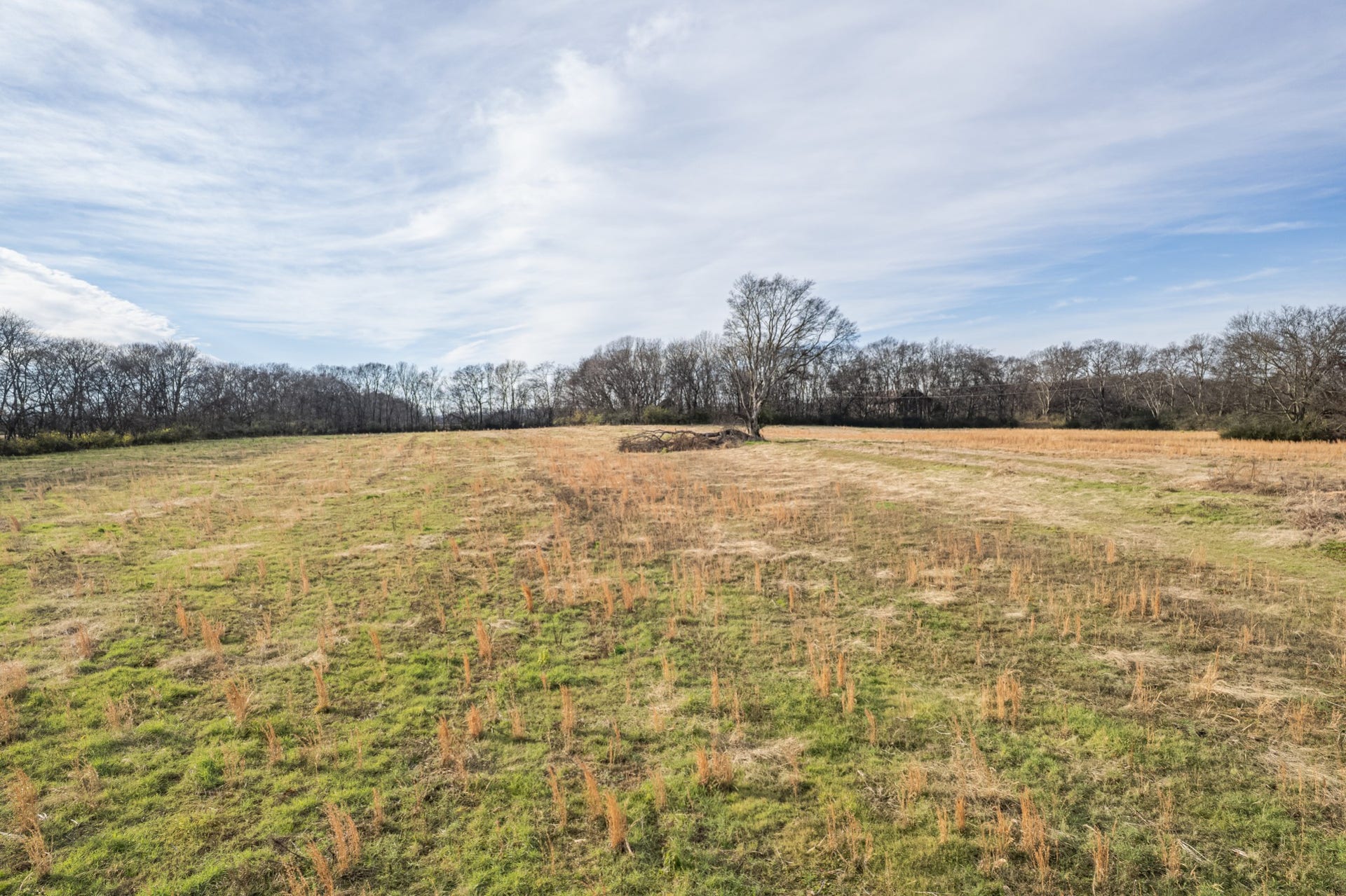 815 S Cross Bridges Rd, Mount Pleasant, TN 38474 815 S Cross Bridges Rd, Mount Pleasant, TN 38474
