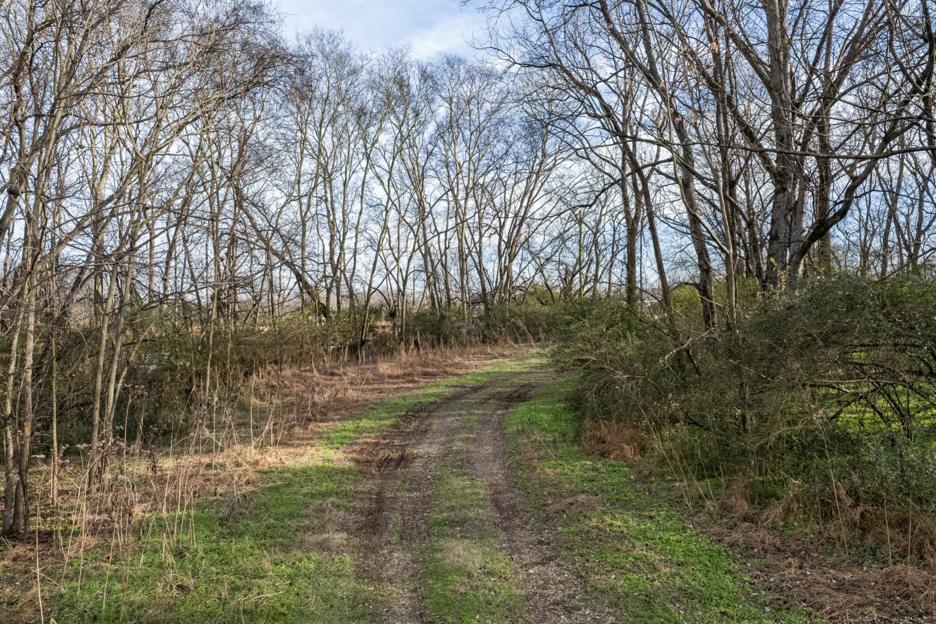 815 S Cross Bridges Rd, Mount Pleasant, TN 38474 815 S Cross Bridges Rd, Mount Pleasant, TN 38474