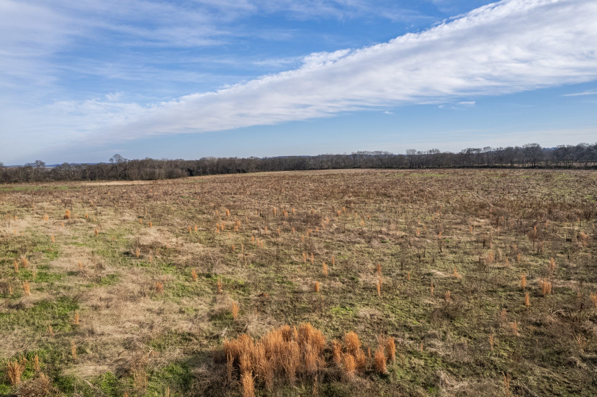 815 S Cross Bridges Rd, Mount Pleasant, TN 38474 815 S Cross Bridges Rd, Mount Pleasant, TN 38474
