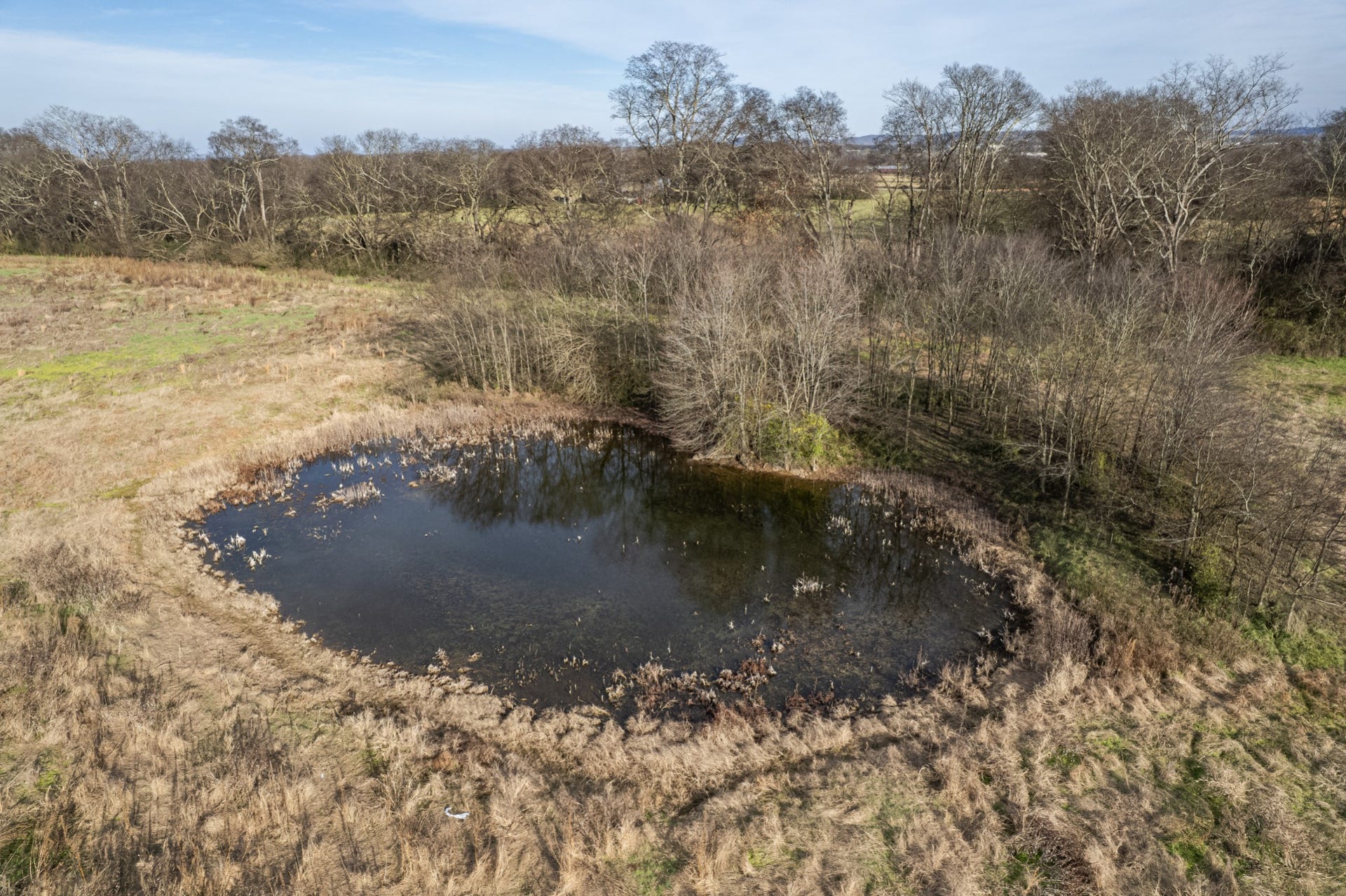 815 S Cross Bridges Rd, Mount Pleasant, TN 38474 815 S Cross Bridges Rd, Mount Pleasant, TN 38474