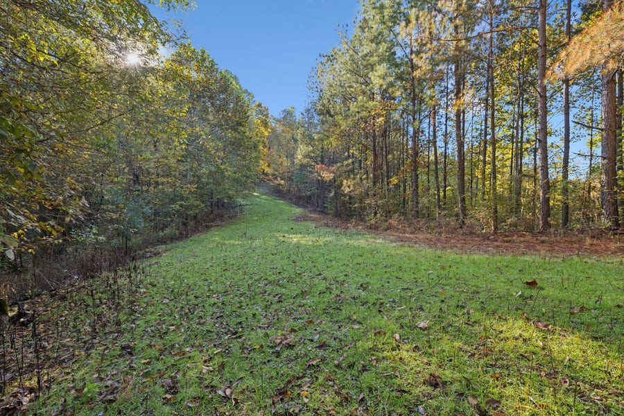 Property photo for 0 W Sheepneck Rd, Mount Pleasant, TN