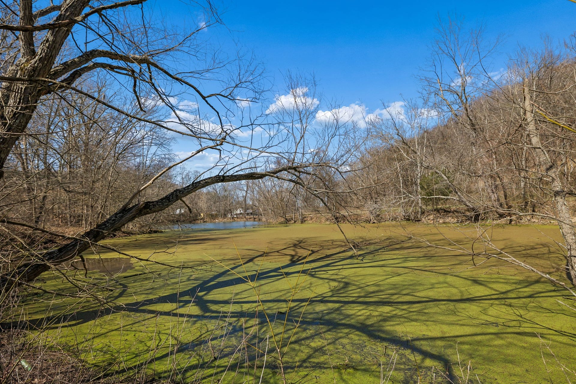 4 Enterprise Rd, Mount Pleasant, TN 38474 4 Enterprise Rd, Mount Pleasant, TN 38474